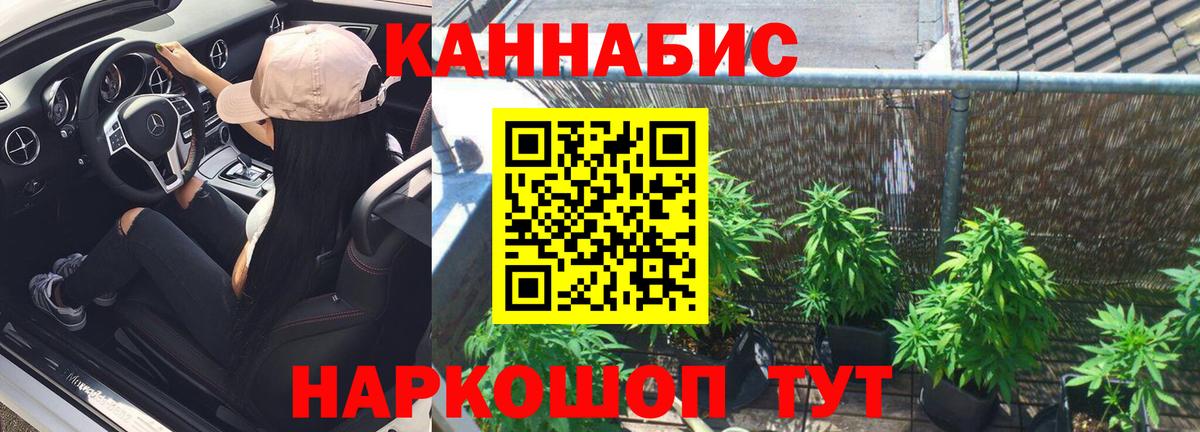 Бошки марихуана Amnesia  Вход с VPN  Канабис ГИДРОПОН  Коммунар  Бошки Шишки White Widow 